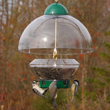 Droll Yankees Big Top Bird Feeder